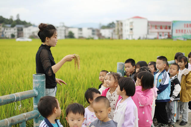 粮食日 学生