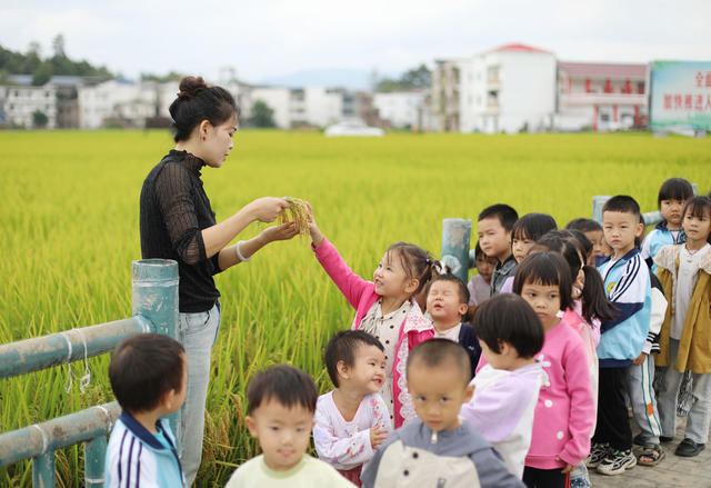 粮食日 学生