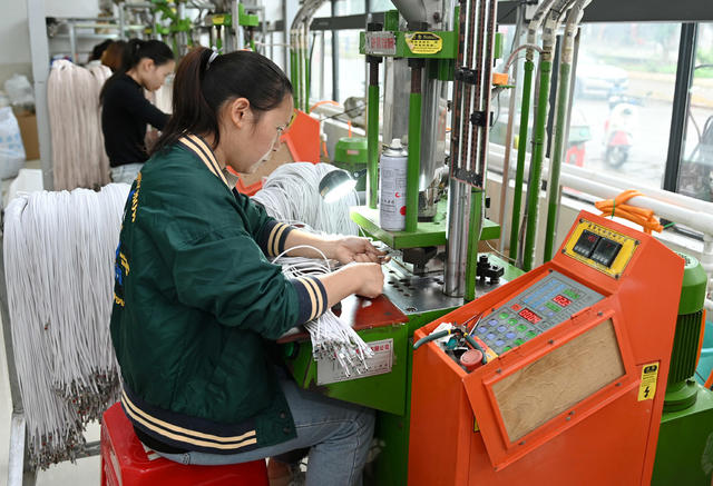 乡村企业   农村 劳动 就业  剩余劳动力 电子 村民  经济   订单 加工 民生