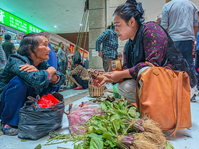 中草药  瑶医  江永
