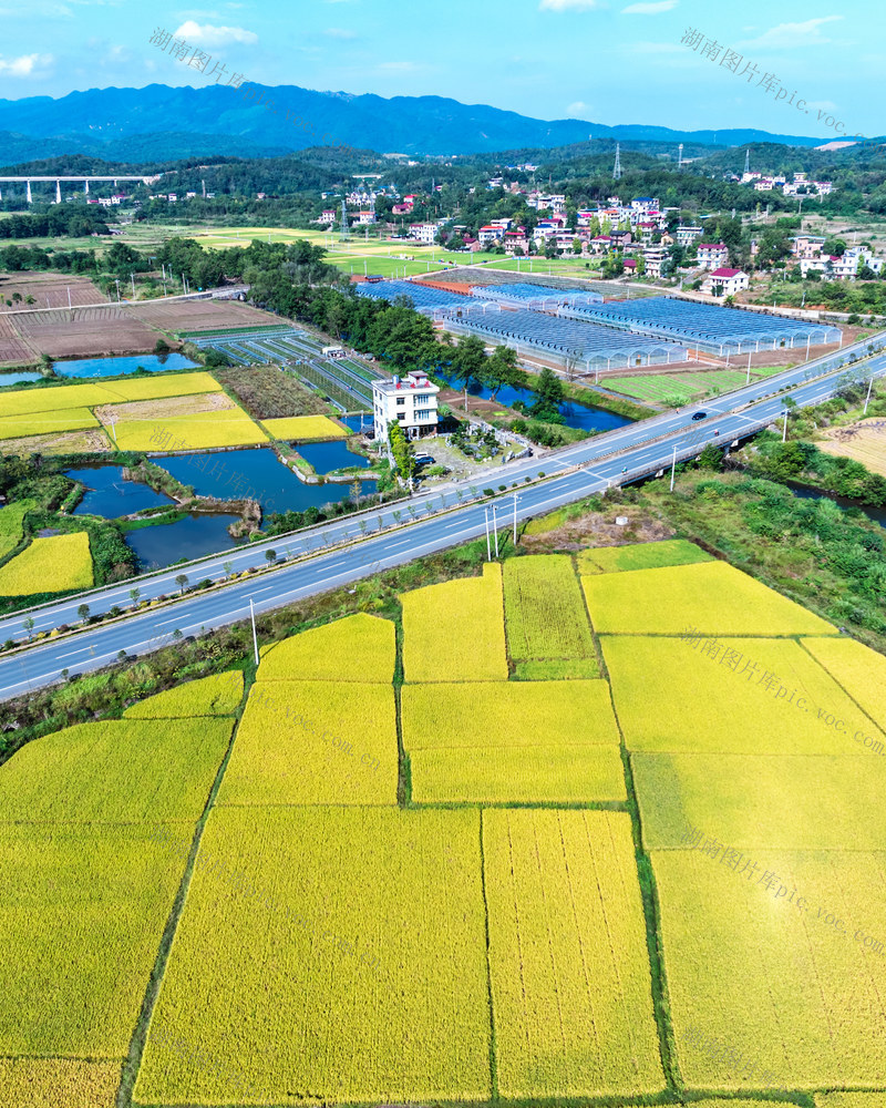 多种经营   农民增收  乡村振兴