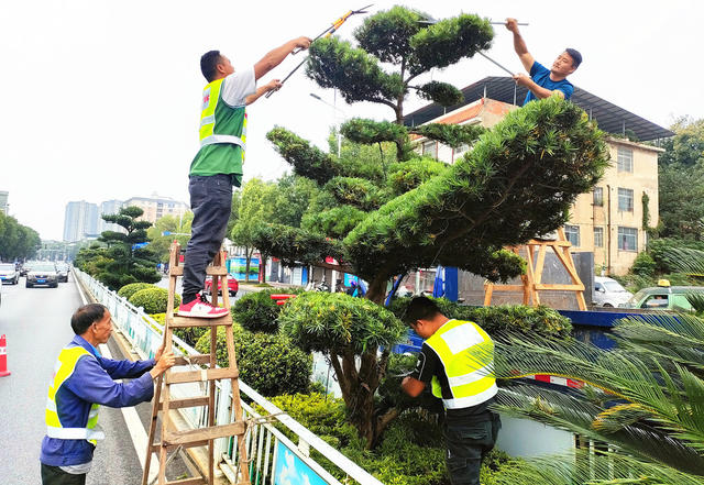 城市美　生态好