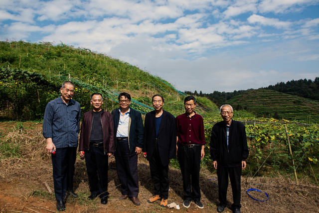 罗汉果   老科协    指导