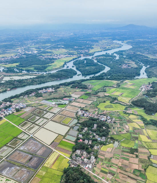 秋色
稻田
晚稻
道县