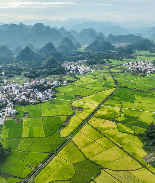 宁远
稻田
旅游
