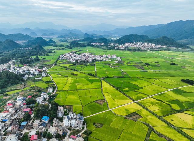 宁远
稻田
旅游
