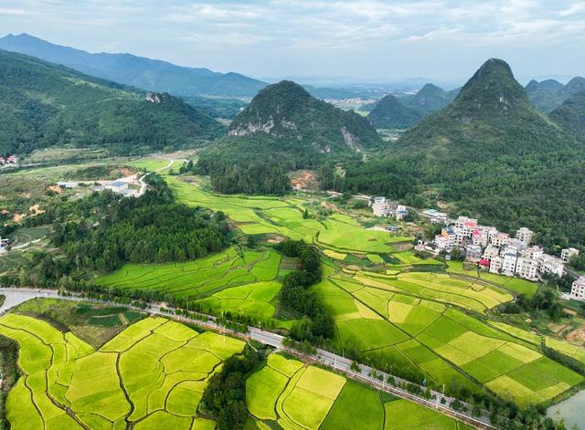 宁远
稻田
旅游

