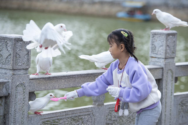 娄底 国庆 假期