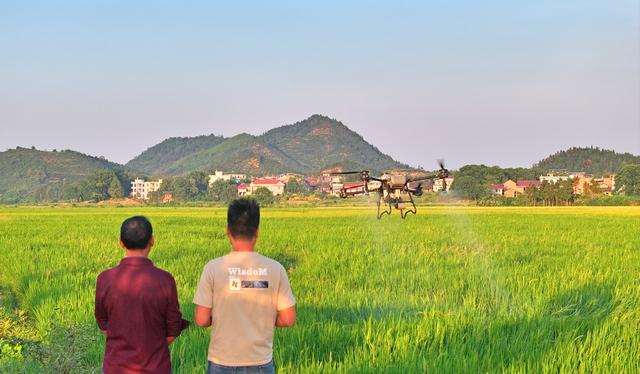 湖南  常宁  无人机  植保