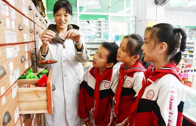  学习中医中药知识   感受中国传统文化