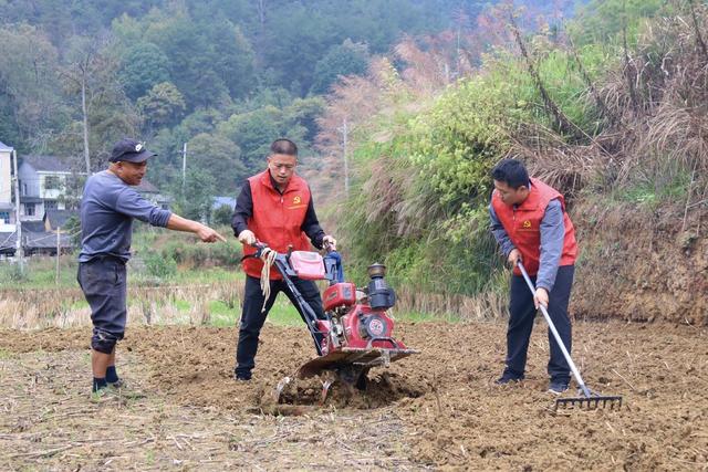 党员干部 助农 调研 基层 一线 四下基层