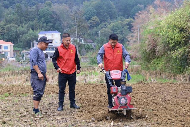 党员干部 助农 调研 基层 一线 四下基层