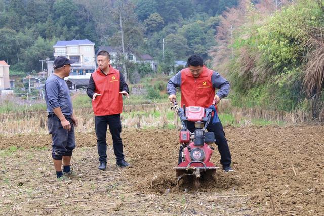 党员干部 助农 调研 基层 一线 四下基层