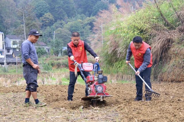 党员干部 助农 调研 基层 一线 四下基层