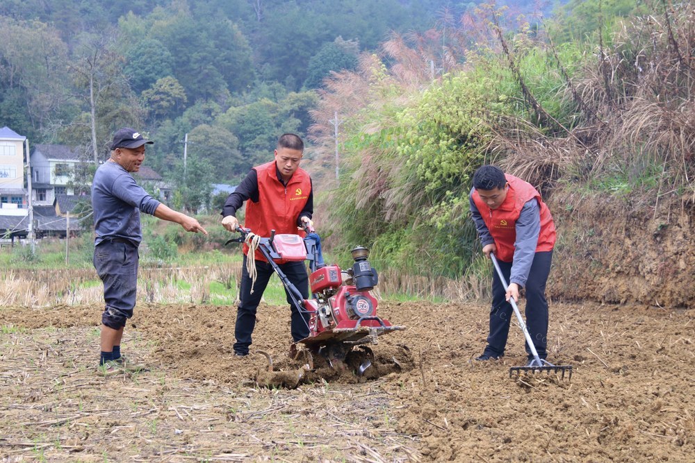 党员干部 助农 调研 基层 一线 四下基层