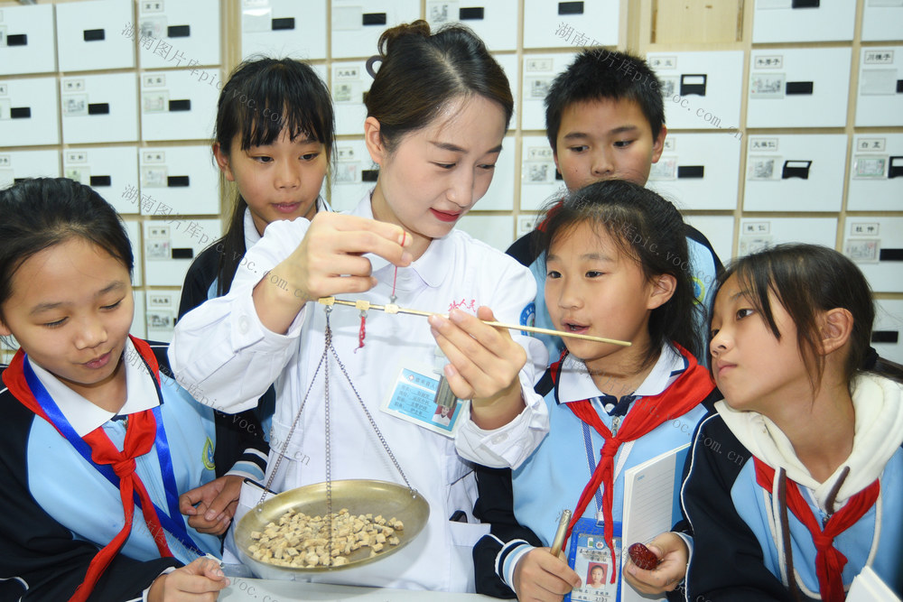 嘉禾：学习中医药知识    感受传统文化