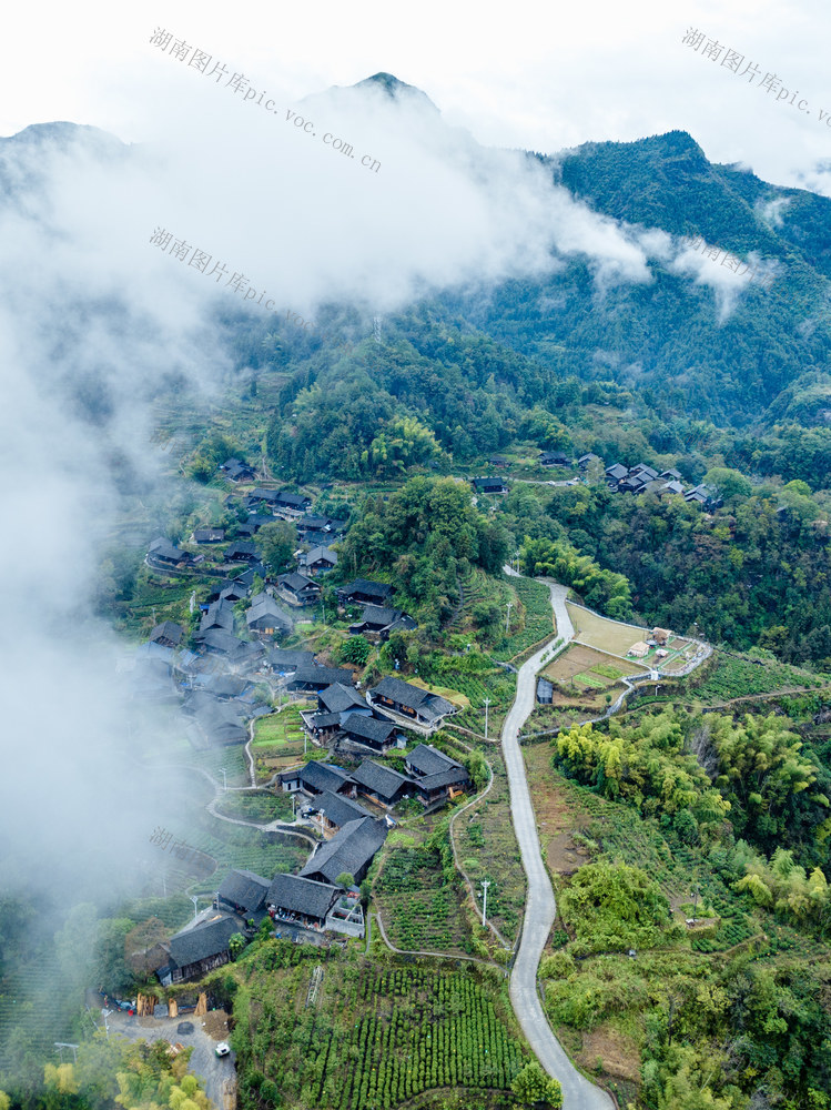 云上夯坨 云海 苗寨 青山 茶园 夯坨村