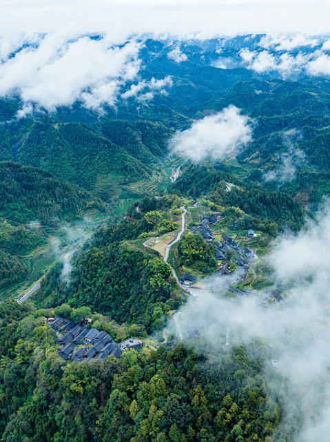 云上夯坨 云海 苗寨 青山 茶园 夯坨村