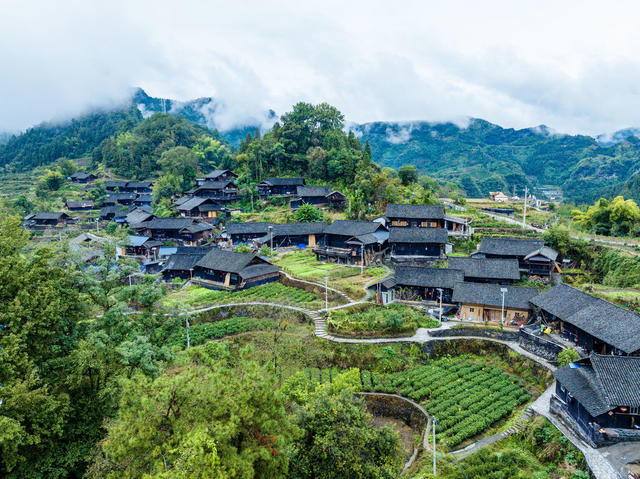 云上夯坨 云海 苗寨 青山 茶园 夯坨村
