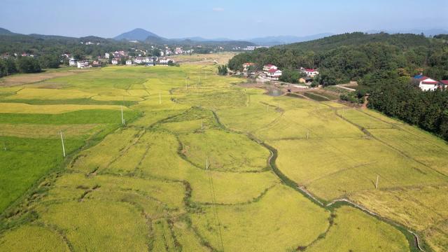 “丰”景画卷