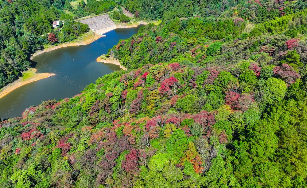 秋天、秋景、山林、秋色、乡村