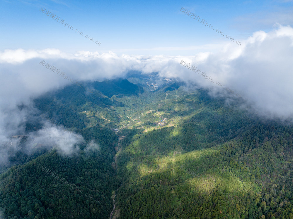 牛儿山 森林