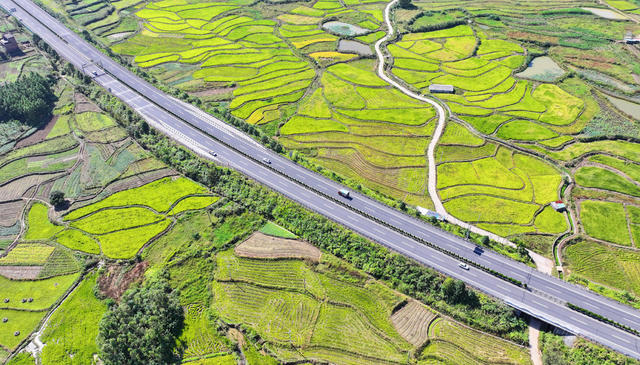 交通
公路
乡村

