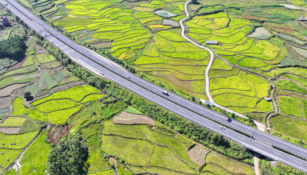 交通
公路
乡村
