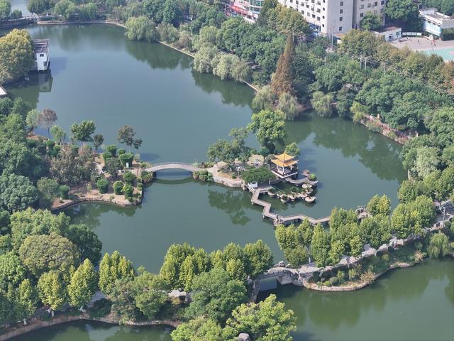 湘潭 雨湖区 梧桐