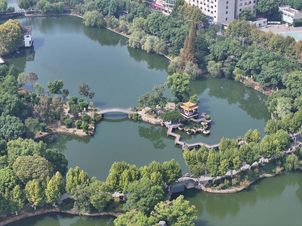 湘潭 雨湖区 梧桐