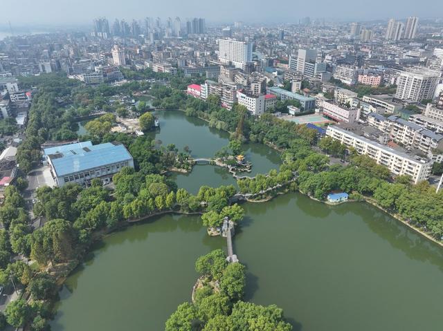 湘潭 雨湖区 梧桐