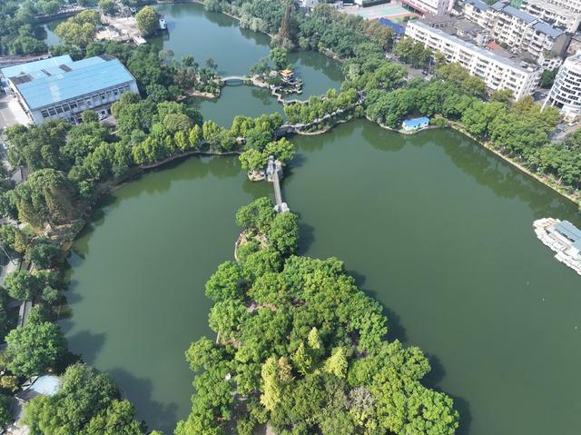 湘潭 雨湖区 梧桐