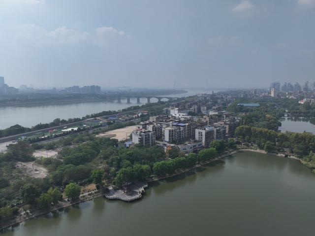 湘潭 雨湖区 梧桐