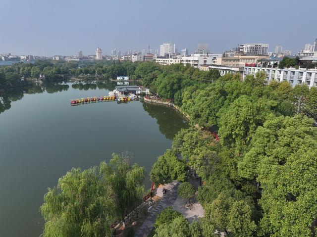 湘潭 雨湖区 梧桐