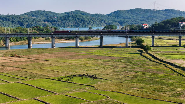 秋日美景 乡村 高铁飞驰驶过花海