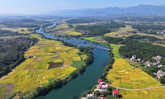 乡村 美景 秋色