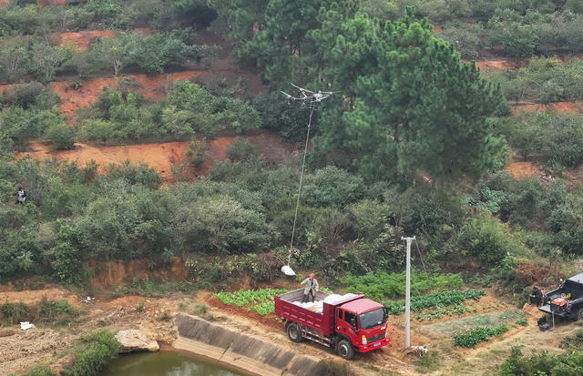 油茶 采摘 晾晒  无人机转运