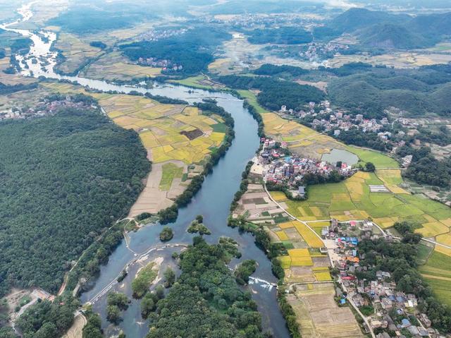 金秋
晚稻
道县