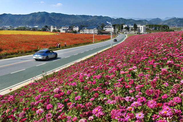 站前公路生态美