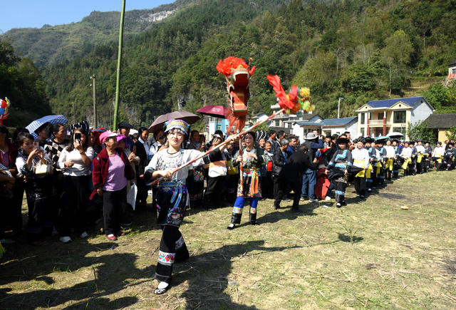 民俗 接龙 苗族 丰收 舞龙 接龙舞  