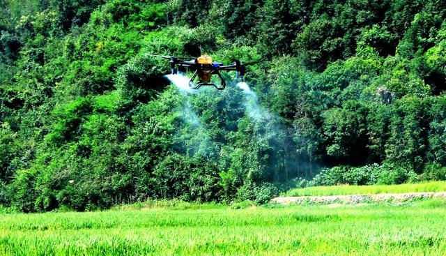 飞防  病虫  防治