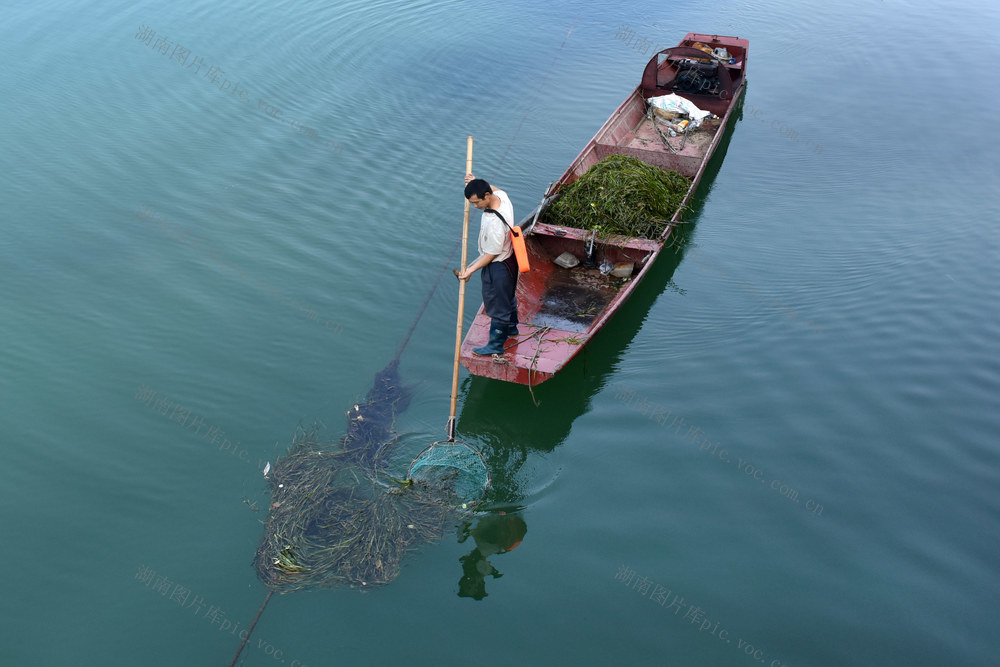 清理河道漂浮物