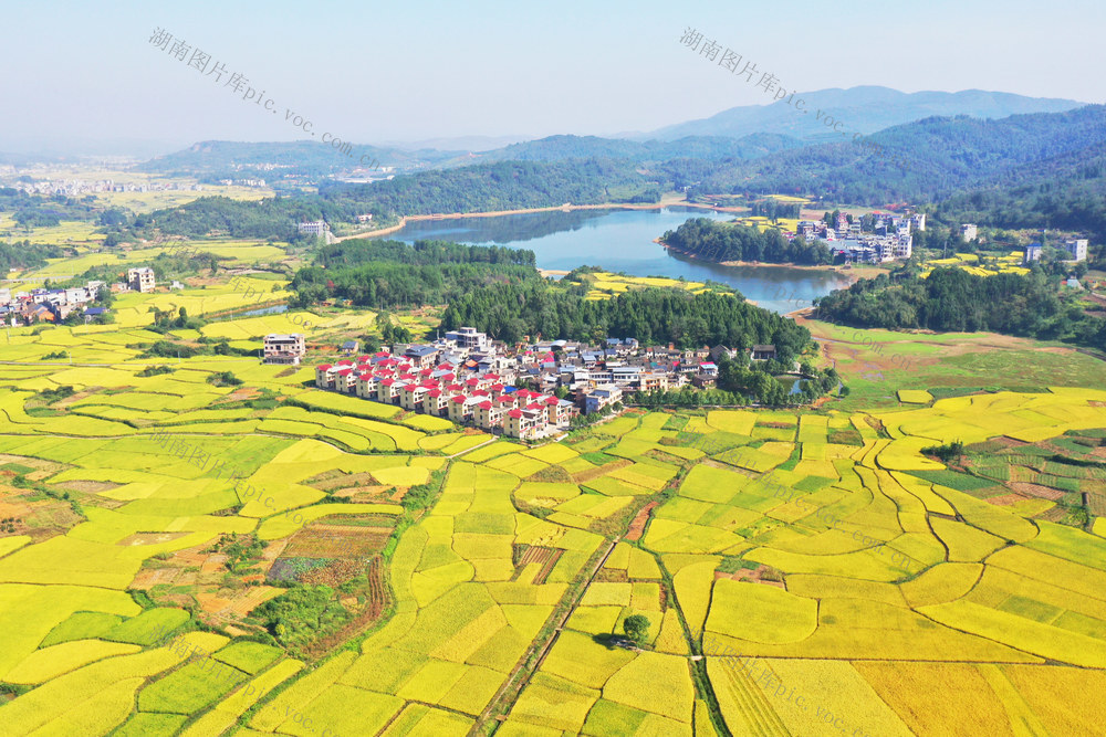 嘉禾：秋染大地乡村美