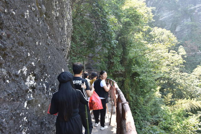 崀山 国庆 旅游 火爆 