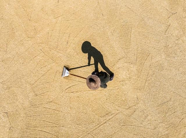 晚稻
宁远
田园
