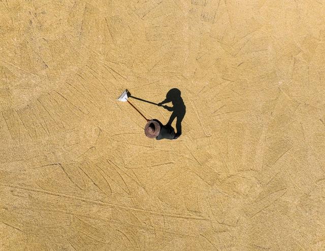 晚稻
宁远
田园
