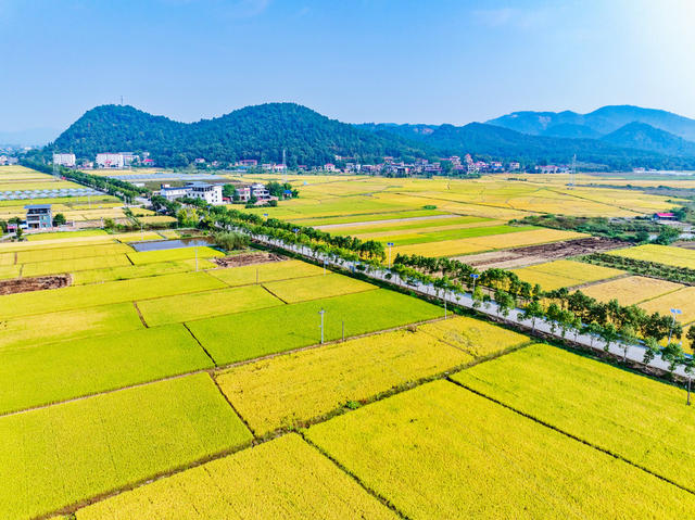 金秋季节  田园如画