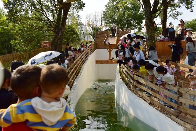 国庆节  欢乐  假期  萌宠  节日经济  花谷湖
