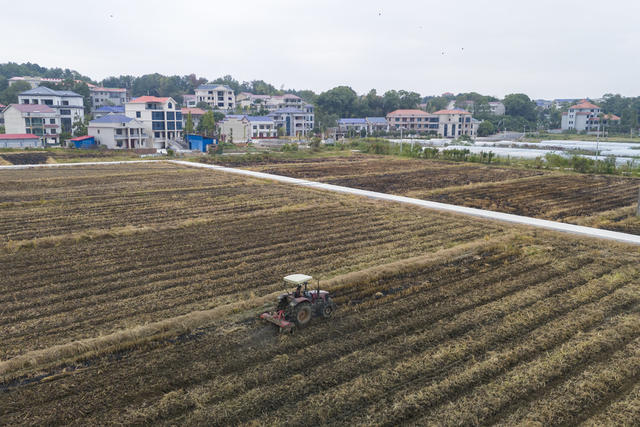 娄底 寒露 翻耕 农民