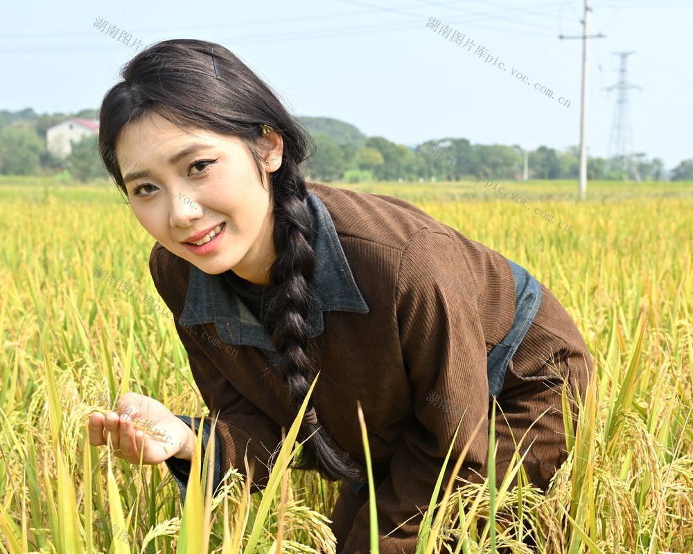 又闻稻花香